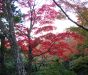 la-villa-okochi-sanso-a-kyoto