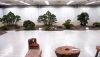 the-world-of-master-saburo-katoh-and-his-forest-bonsai-masterpieces