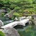 the-vast-adachi-japanese-garden