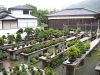 tomoya-nishikawa-bonsai-garden