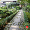anrakuji-temple-kyoto