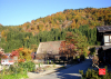 promenade-dans-les-montagnes-japonaises