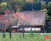 promenade-dans-les-montagnes-japonaises