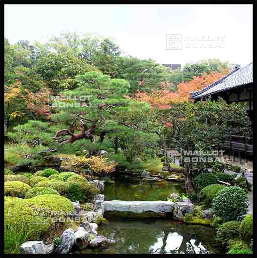 jardins-du-japon-kyoto-automne-2007