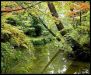 japanese-gardens-in-kyoto-city