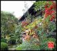 japanese-gardens-in-kyoto-city