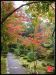 jardins-du-japon-kyoto-automne-2007