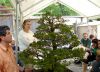 demonstration-bonsai-new-york-mai-2008