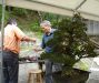 a-bonsai-demonstration-by-guy-maillot-in-new-york