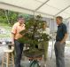 a-bonsai-demonstration-by-guy-maillot-in-new-york